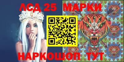 амф Кандалакша