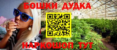 амф Кандалакша