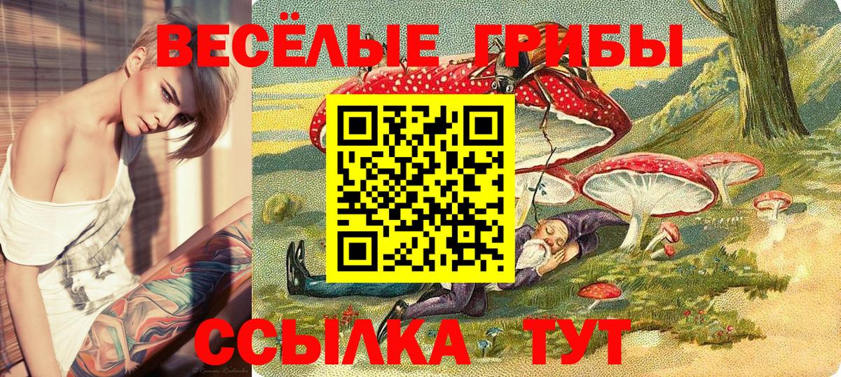 Псилоцибиновые грибы Magic Shrooms Курчалой