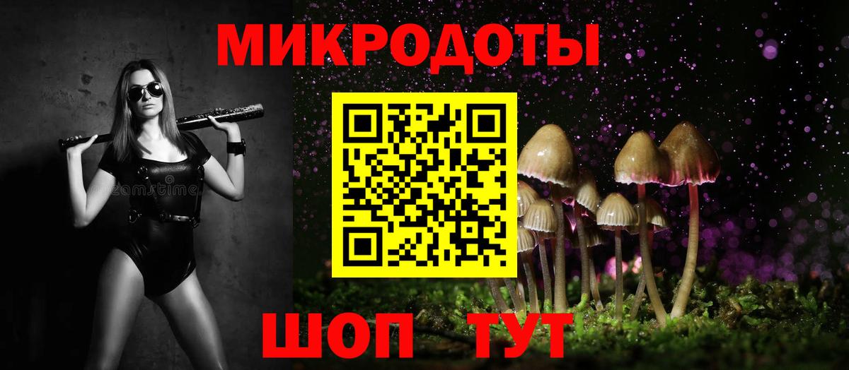 Галлюциногенные грибы мицелий  Псилоцибиновые грибы прущие грибы  Вход с VPN  Курчалой 