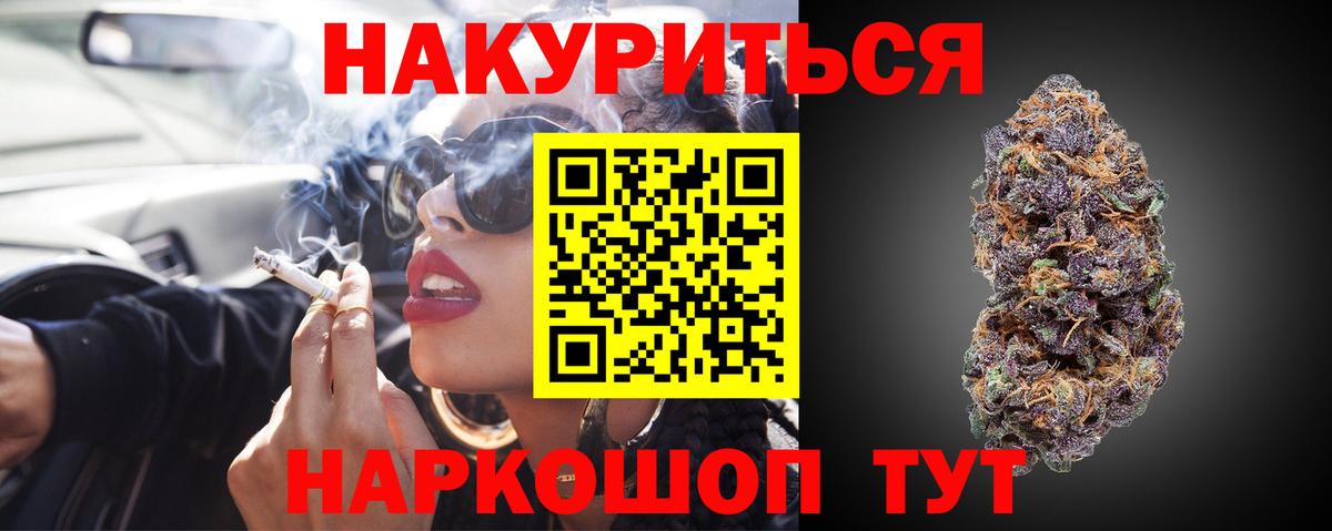 МАРИХУАНА сатива Курчалой